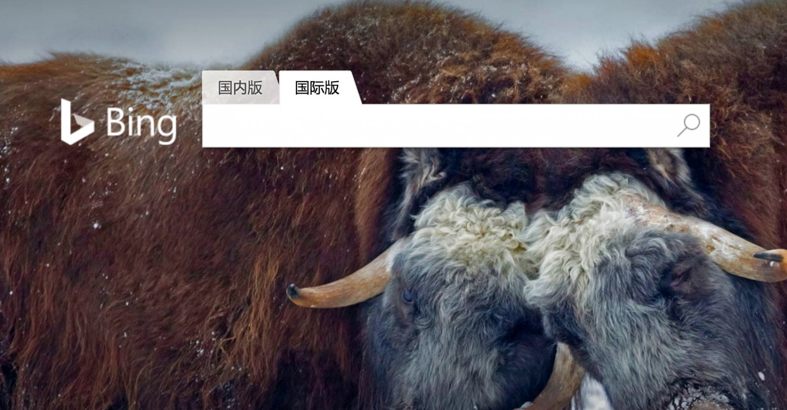 微软中国版 Bing 推出“国际版”服务,主要面向英文用户 - 动点科技