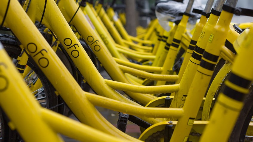 ofo